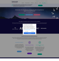 Vignette screenshot Basware France