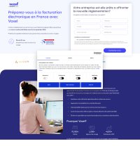 Vignette screenshot VOXEL